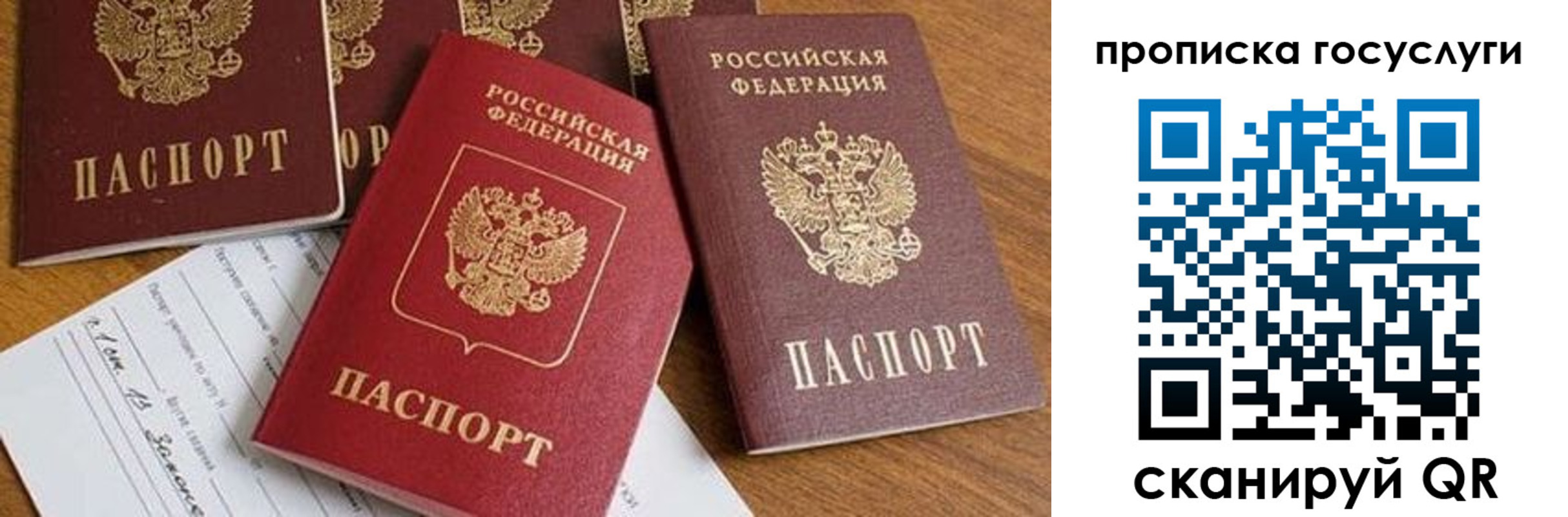 прописка в Подольске